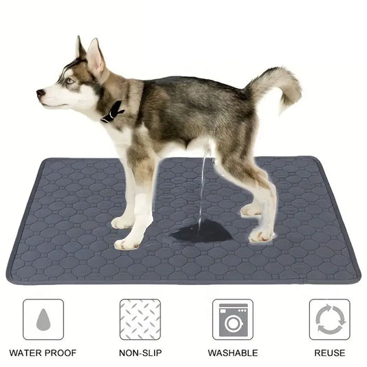 PawGuard Reusable Mat